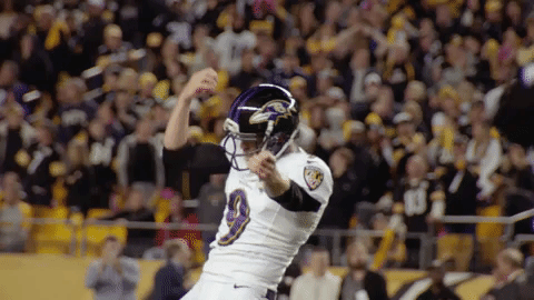 Ravens.gif