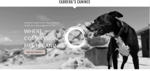 Cabrera's Canines Homepage